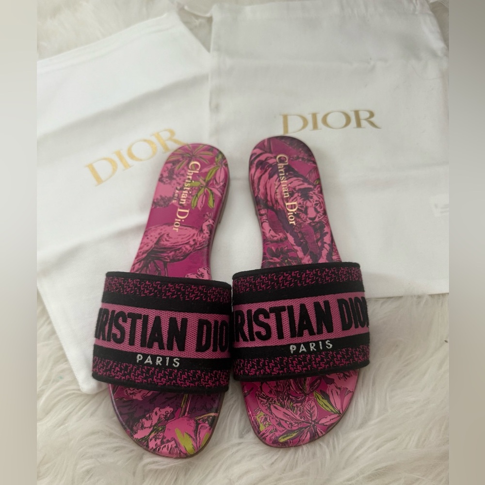 Christian Dior Dway Slide Rani Pink with Toile De Jouy Voyage Motif